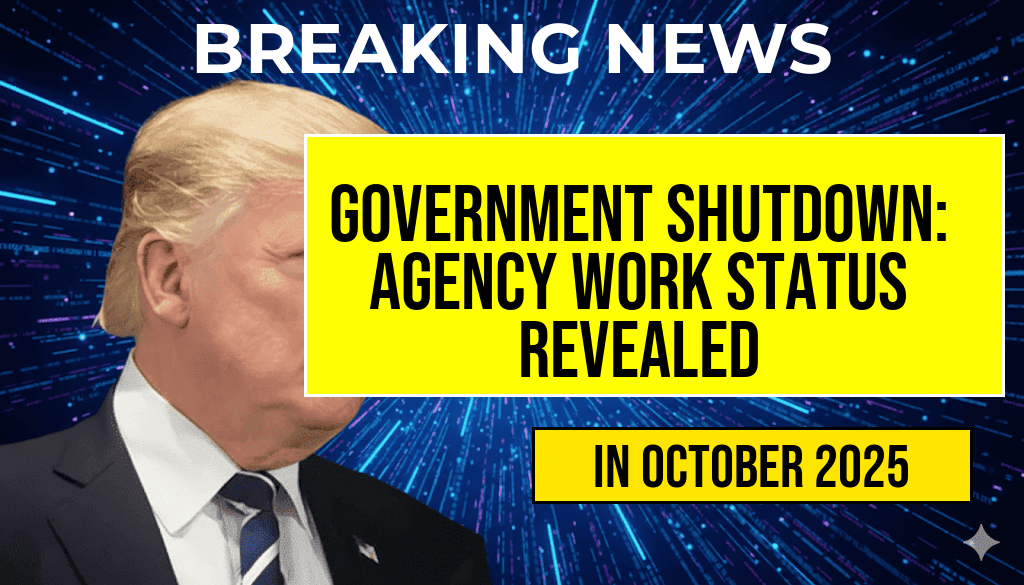 Government Shutdown: Comprehensive Agency Breakdown Reveals Who Is Working and Who Is Not, from Social Security and the IRS to Defense and the TSA.